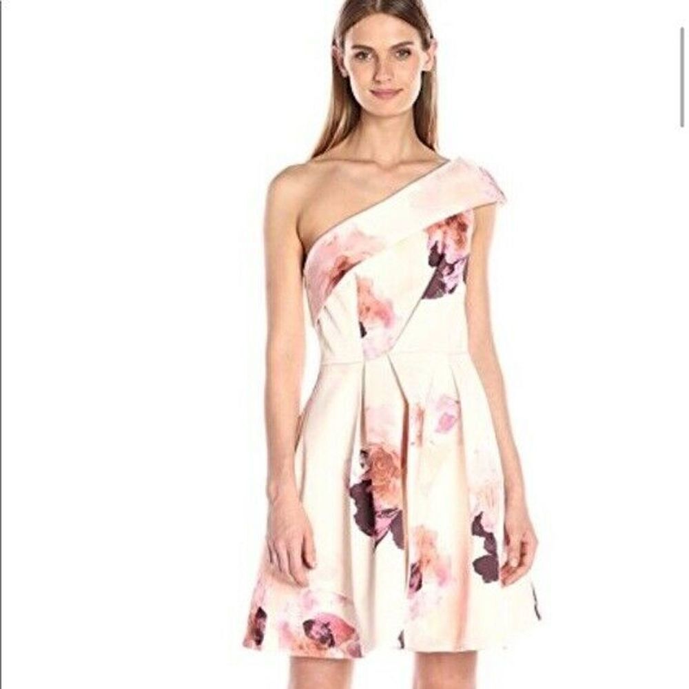 NWOT Keepsake Dress Floral Cream Pink M
